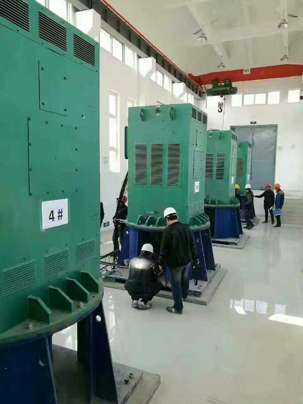 Y800-10某污水处理厂使用我厂的立式高压电机安装现场
