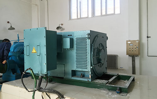Y800-10某水电站工程主水泵使用我公司高压电机