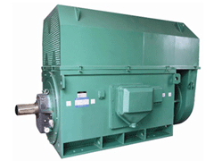 Y800-10YKK系列高压电机